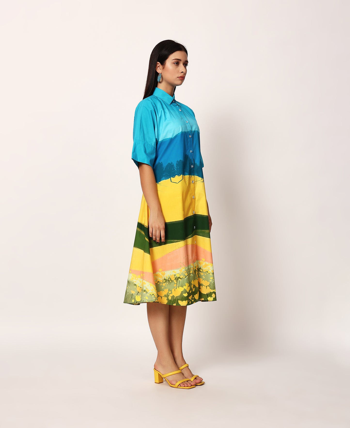 Fuji shirt dress
