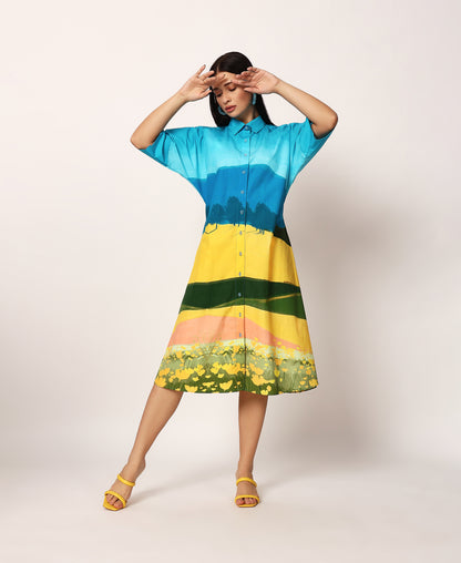 Fuji shirt dress